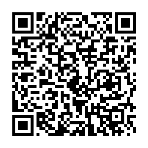 有可能是上万年前交战的时候遗留在我们世界后来慢慢繁衍至今吧二维码生成