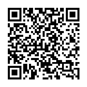 有可能是自己这些年加起来都没有经历过的生活了二维码生成