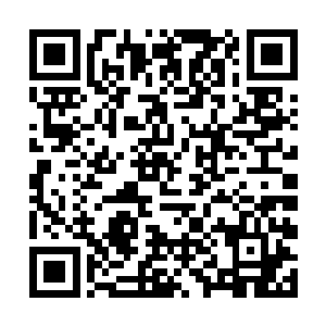 有可能连飞机兄弟会的那些家伙和唐德也会受到牵连二维码生成