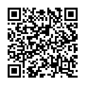 有哪一个姓萧的家族是能够令到陈建国如此看重的二维码生成