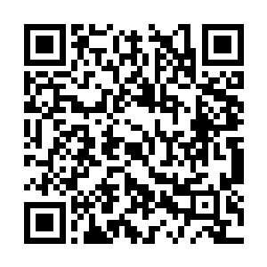 有哪个新郎是顶着他这样的杀人目光去度蜜月的啊二维码生成