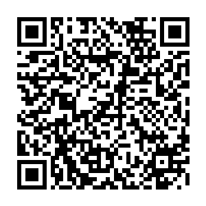 有四象乾坤鼎护身了……同时手中还有这么一团四象琉璃火以备不时之需二维码生成