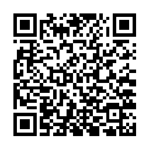 有多少年轻人没有再呼吸过清晨的第一缕新鲜空气了二维码生成