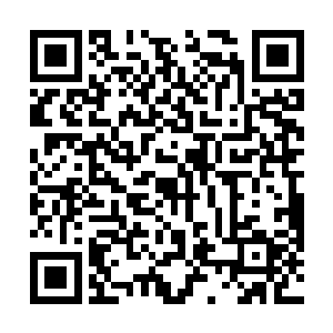 有头有脸的记者几乎都被二十世纪福克斯认了一个脸熟二维码生成