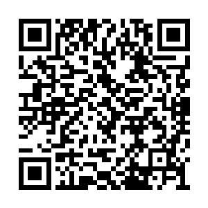 有好事之人已经开始推算此次第一会武的前十名二维码生成