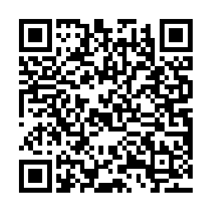 有好些个实力比较弱的宗门都像是哈巴狗一样讨好他们二维码生成