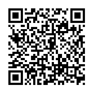 有好几次他只差一丝就要被拖入汹涌的虫潮之中二维码生成