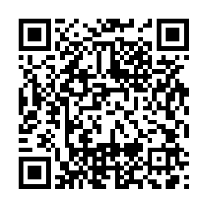 有学生挺身而出被捅成重伤的事情简单的讲给了米紫安二维码生成
