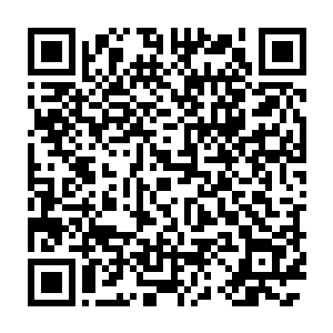 有家制片公司计划制作一部以七八岁的小男孩为绝对主角的少儿电视剧二维码生成