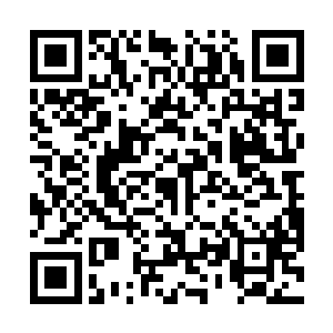 有很多人在山林中却是驯化了不少凶猛野兽为自己所用二维码生成