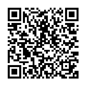 有很大一部分原因要归功于这个对打野位极其有利的补偿机制二维码生成