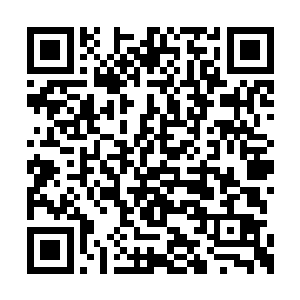 有意无意得以跟陈少保并肩而坐的范长后微笑道二维码生成