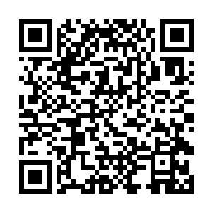 有愿意跟我们合作先除掉两拨坏蛋的队长请举手起来二维码生成