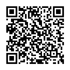 有战灵跟没有战灵在意志世界的实力差距太大了二维码生成