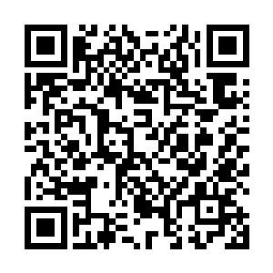 有所顾忌四字是关老爷子斟酌再三才小心翼翼的问出来二维码生成