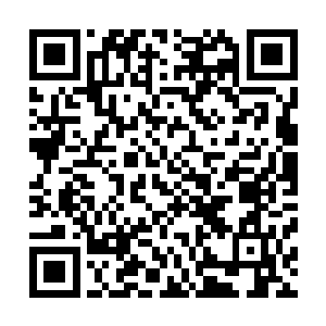 有打爆星君舰经验的第一舰队实力比别的分舰队高出了许多二维码生成