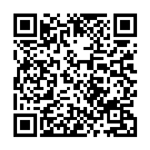 有拜仁慕尼黑球迷在拜仁慕尼黑俱乐部的官方网站中留言二维码生成