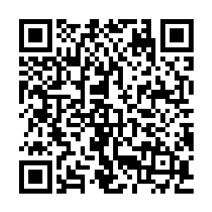 有提着菜篮子的大嫂或者扛着锄头从地里回来的老伯看到他们俩二维码生成