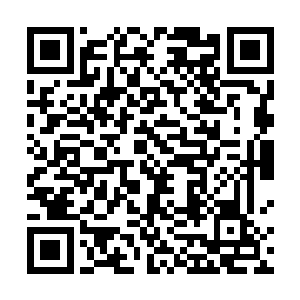 有数支纯战兵构成的人类特种部队消失在东陵山区深处二维码生成