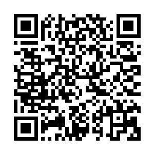 有无数小鱼游了过来……这些小鱼来到我中毒的地方不停吞噬二维码生成