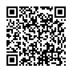 有无限广大的舞台可以让你实现你的人生报复和理想二维码生成