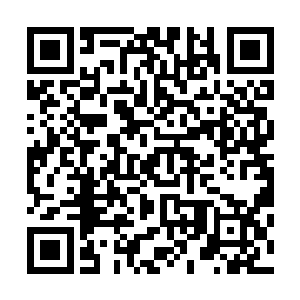 有时为了一点小小的酬劳不惜在明星所在的房间外呆上几宿二维码生成
