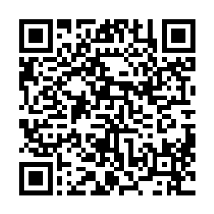 有时候一个手机扔到一个地方好多天才想到拿起来看一看二维码生成