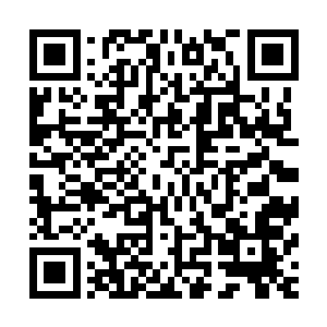 有时候上苍也会有意识的用自己的力量将两个不同的物种分开二维码生成