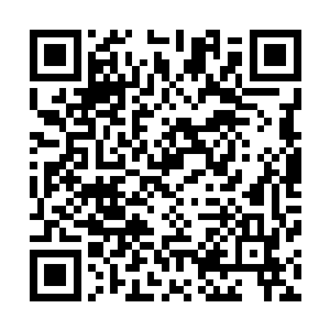 有时候倔强也不是件好事――你就答应他们的要求又怎么了二维码生成