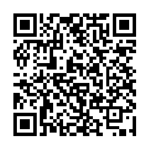 有时候凌菲觉得灰团子突然变成人她都不会感觉惊讶二维码生成