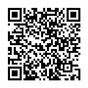 有时候只要在一个简单的食物诱饵肚子里放上一点这种东西二维码生成