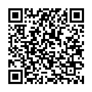 有时候太多枝芽的生长只会凭空消耗树干本身的养料二维码生成