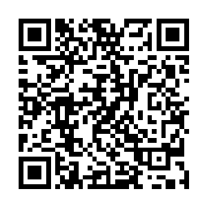 有时候实在累得不行了就求着苏澈让她们休息一下喘口气二维码生成