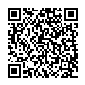 有时候想想自己的所作所为和自己留下来的初衷大相径庭二维码生成