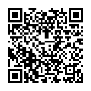 有时候我都在怀疑小友是不是那位前辈的转世之身二维码生成