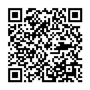 有时候杰西卡都觉得自家妹妹比自己还像一位做姐姐二维码生成