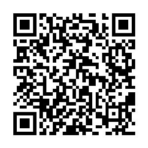 有时候甚至会被身边突然暴起的不是骑士的刺客杀死二维码生成