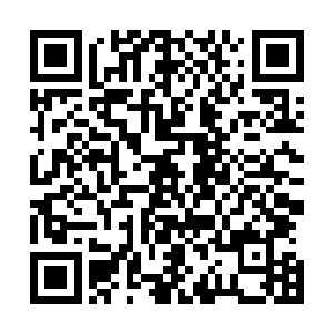 有时候靠的不仅仅是域子自身的实力还有他麾下人才的实力二维码生成