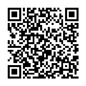 有时又连续数十个回合也不曾听闻一下兵器交击二维码生成