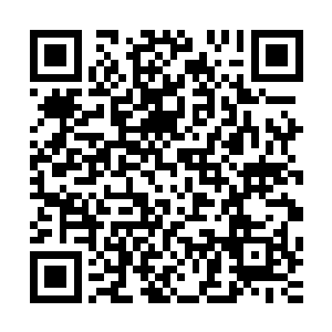 有模有样地从药箱当中拿出听诊器在孟猊胸膛探听着内部情况二维码生成