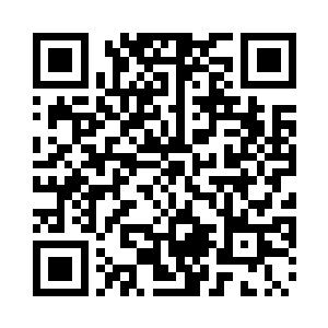 有每隔一段距离就打断一颗树的树干二维码生成