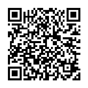 有没有发现你的那个区域附近有颗句号那么大点儿的小红痣二维码生成