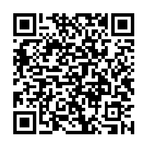 有点像上次唐天从变异星魂蛇身上猎到的那颗魂核二维码生成