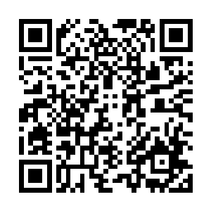 有点像她死去的弟弟……所以她才没有直接在澳门下船二维码生成