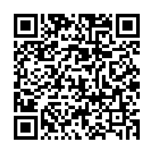 有点心动不已却又摆出一副大哥哥的模样怒视着墨二维码生成