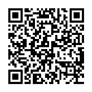 有点承受不住压力和某个人炙热眼光的力莲咧了咧嘴想笑二维码生成