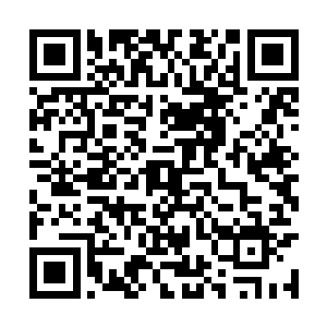 有点毛乎乎的腿从膝盖上方露出了三个明显的伤疤二维码生成