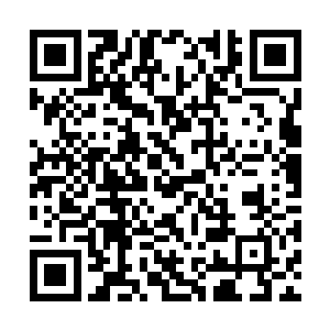 有狂帝楚狂人坐镇……而这位实力可怕的大帝高手二维码生成