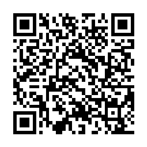 有百分之八十可以归结到他不具备专业的歌舞素养上面二维码生成