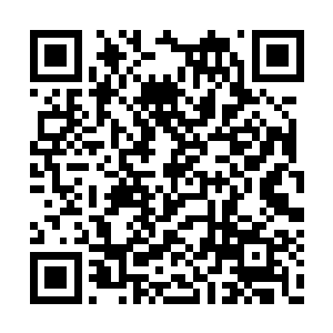 有的人冷静的立刻收拢自己的队伍循序下山后撤二维码生成